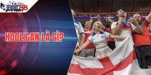 Hooligan Là Gì? Hướng Dẫn Nhận Dạng Và Hậu Quả Khôn Lường