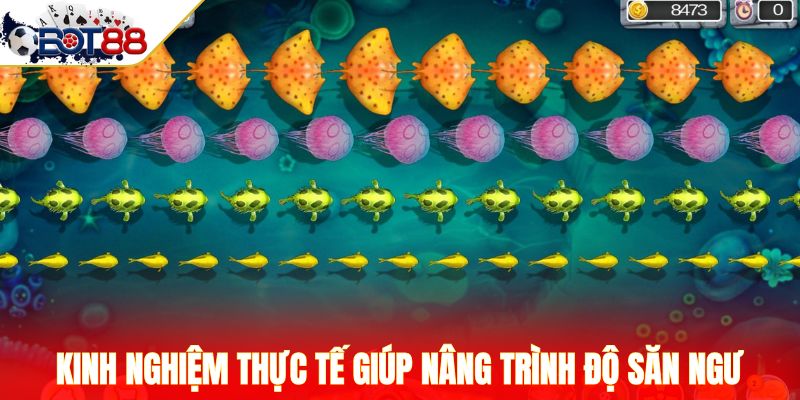 Kinh nghiệm thực tế giúp nâng trình độ săn ngư