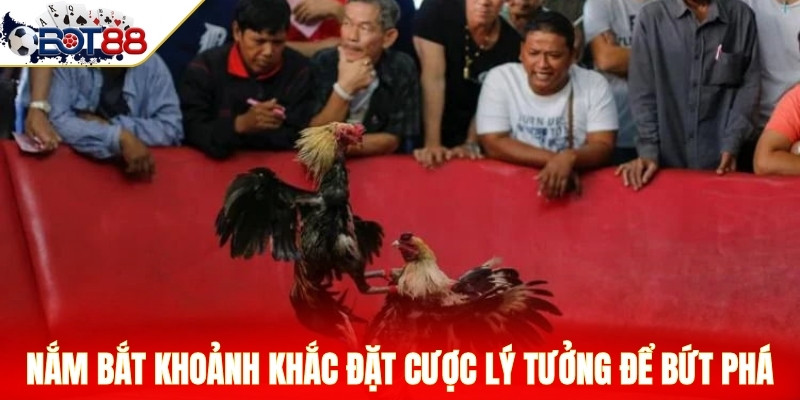 Nắm bắt khoảnh khắc đặt cược lý tưởng để bứt phá