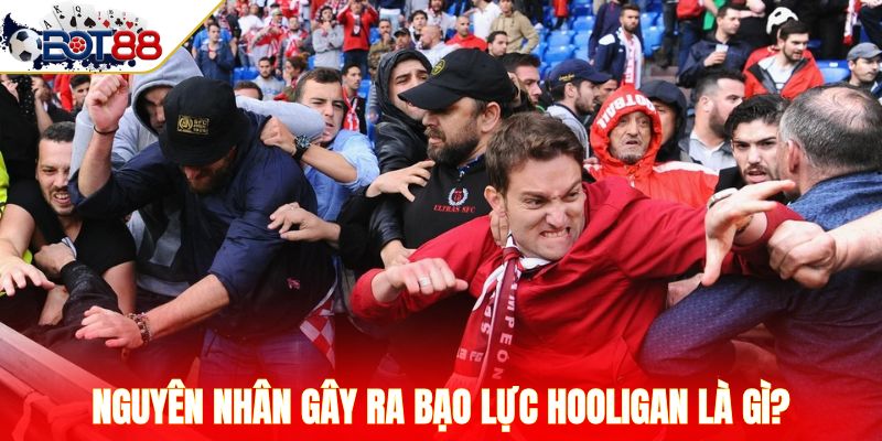 Nguyên nhân gây ra bạo lực Hooligan là gì?