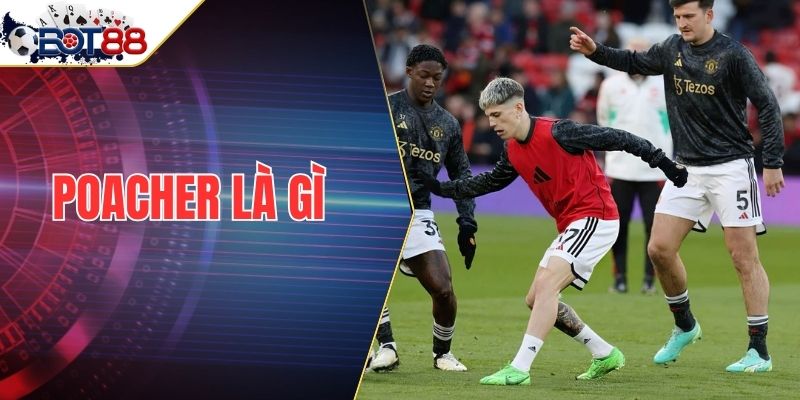 Poacher Là Gì - Giải Mã Vị Trí Tiền Đạo Cùng Bot88